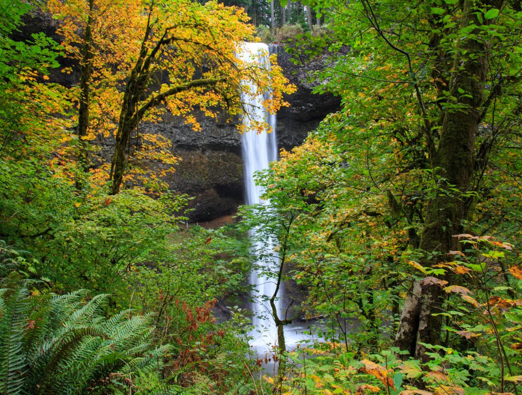 Silver Falls State Park - Away We Winnebago